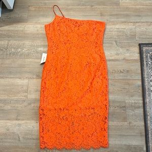 Bardot Maya lace midi dress